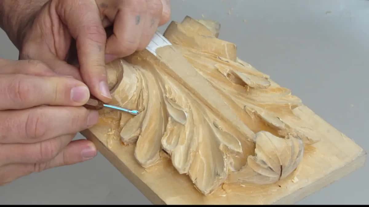 Blue tipped blade working the left of the acanthus, pale marker pinned above it, both hands close in
