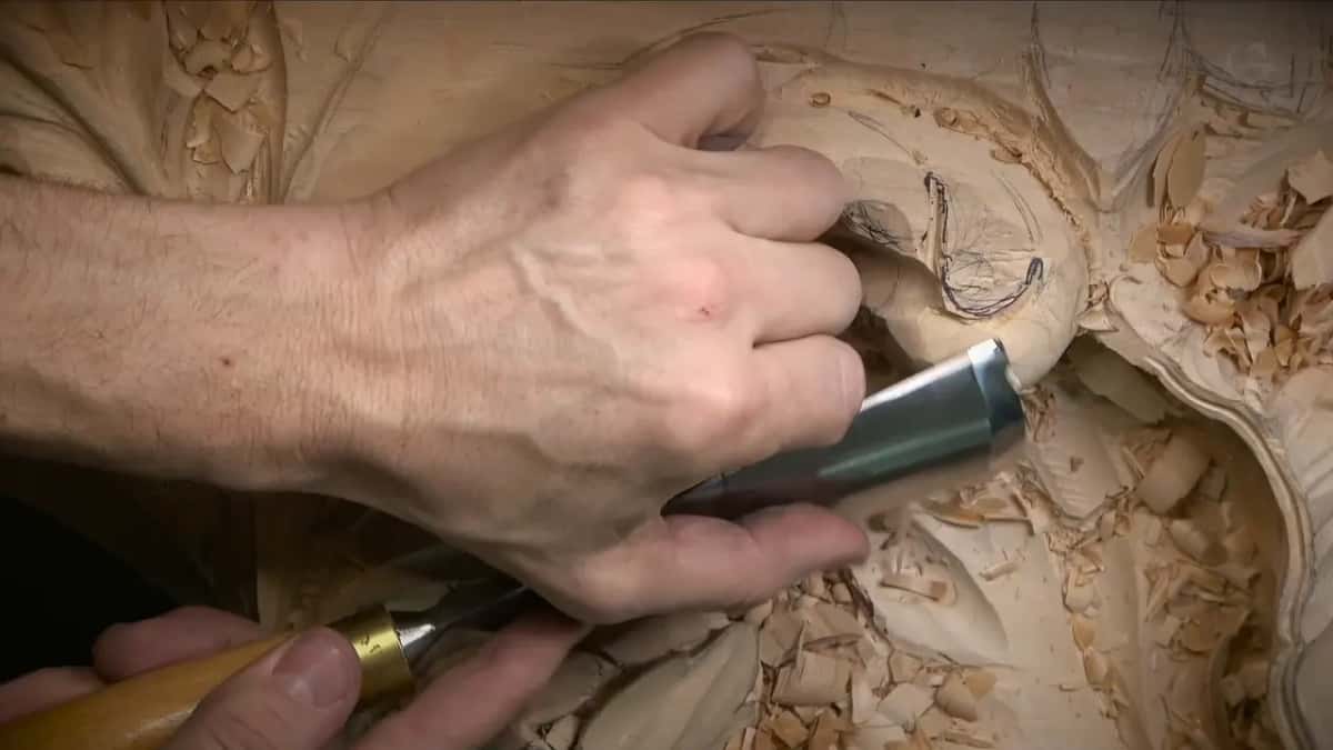 Gouge with a gold ferrule rounds the side of the curl