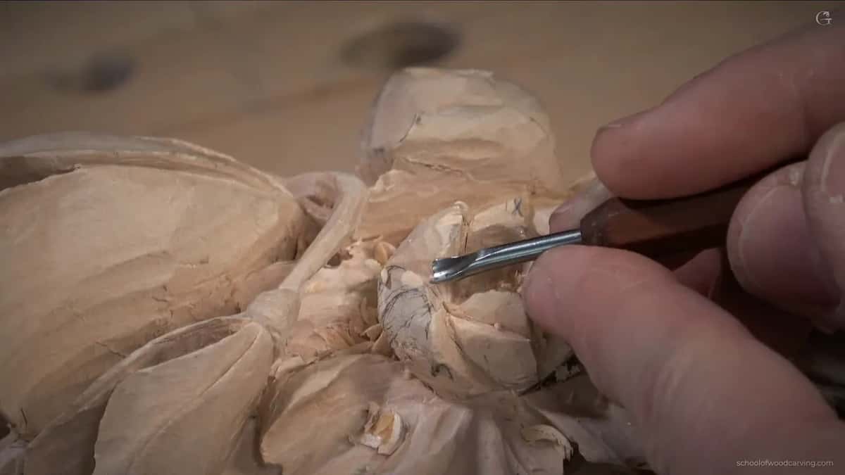 Low view of a small gouge digging into one inner petal