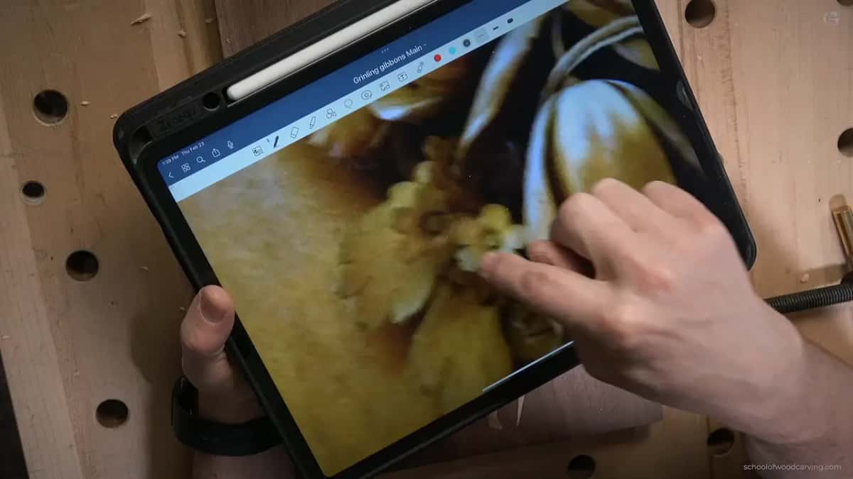 A finger on the tablet, resting on one small filler flower in the Gibbons photograph