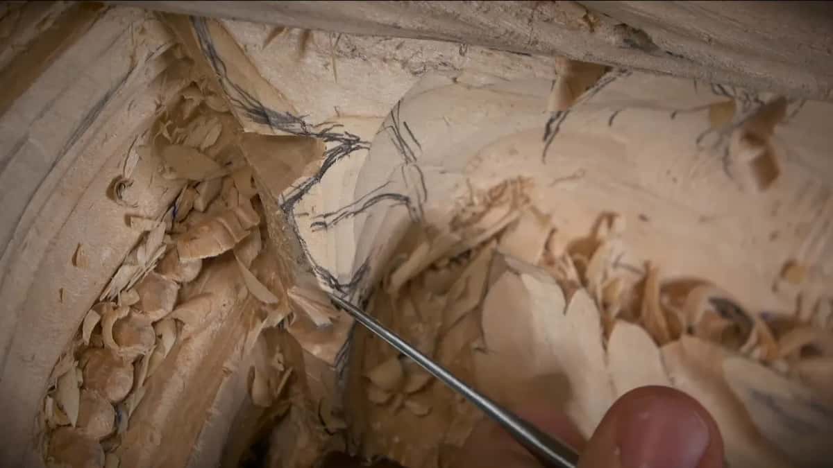 Thin steel reaching into a deep pocket between penciled leaves