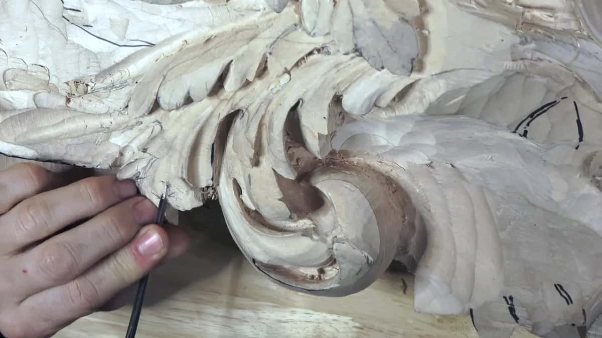 Thin blade at the leaf edge.