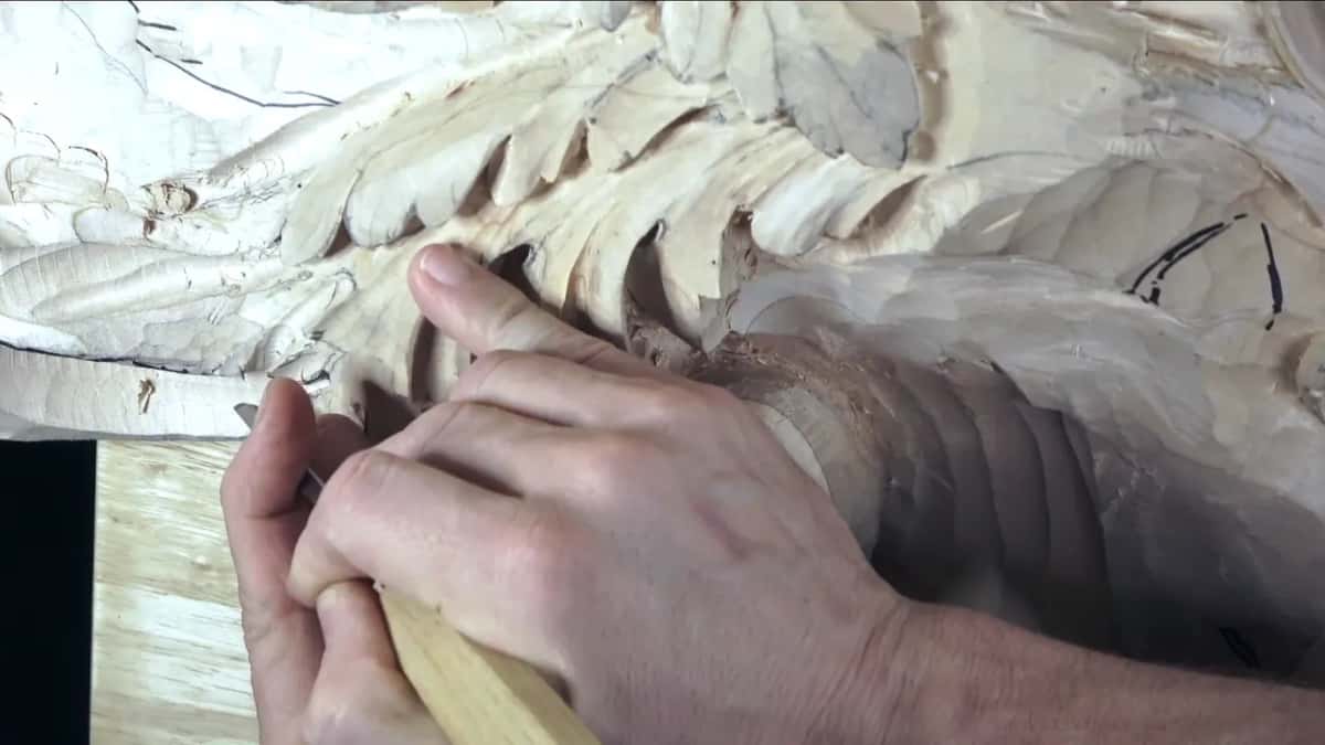 The finger as a fence Two hands close in under the fringed edge of a leaf, a fingertip resting on the wood as a guide