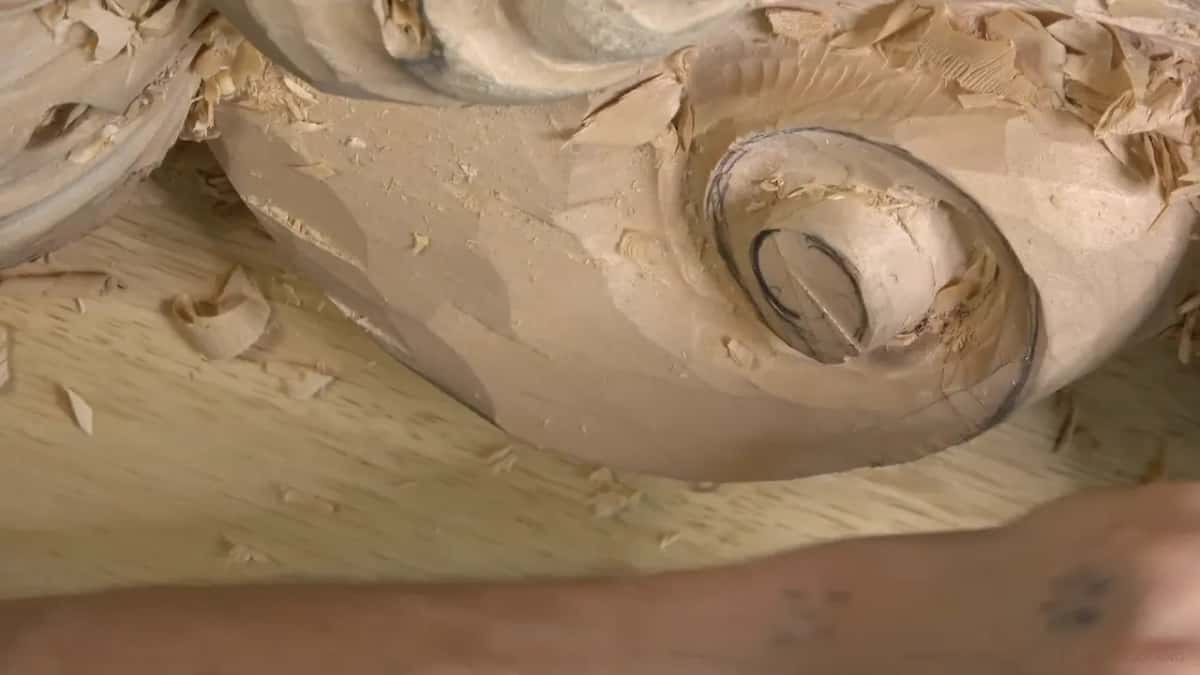 Close view of the volute with pencil circles still on its spiral and a curled leaf above it.