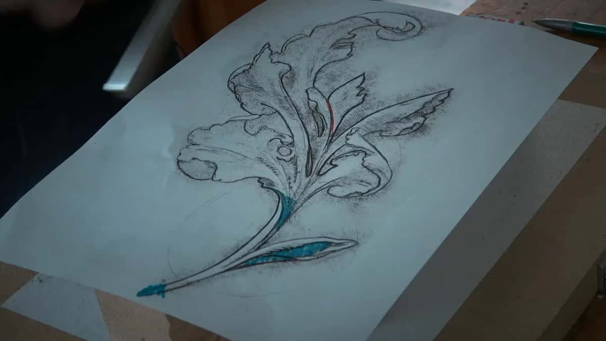 Shaded acanthus drawing on a sheet of paper, its stem traced in blue