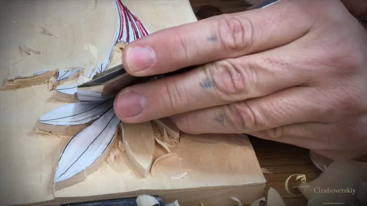 Fingers pressing a gouge almost flat beside red lined lobes