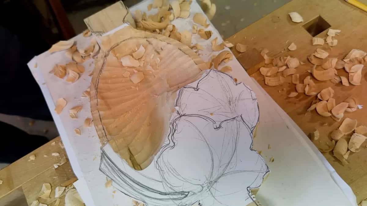 The roughed hollow from above, ridged and full of chips, with the leaf drawing beside it