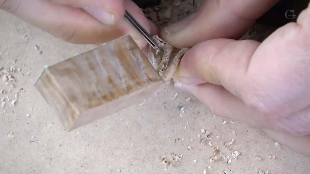 Fingers pinch a small piece of dark figured wood against a pale block while a thin tool works along its edge