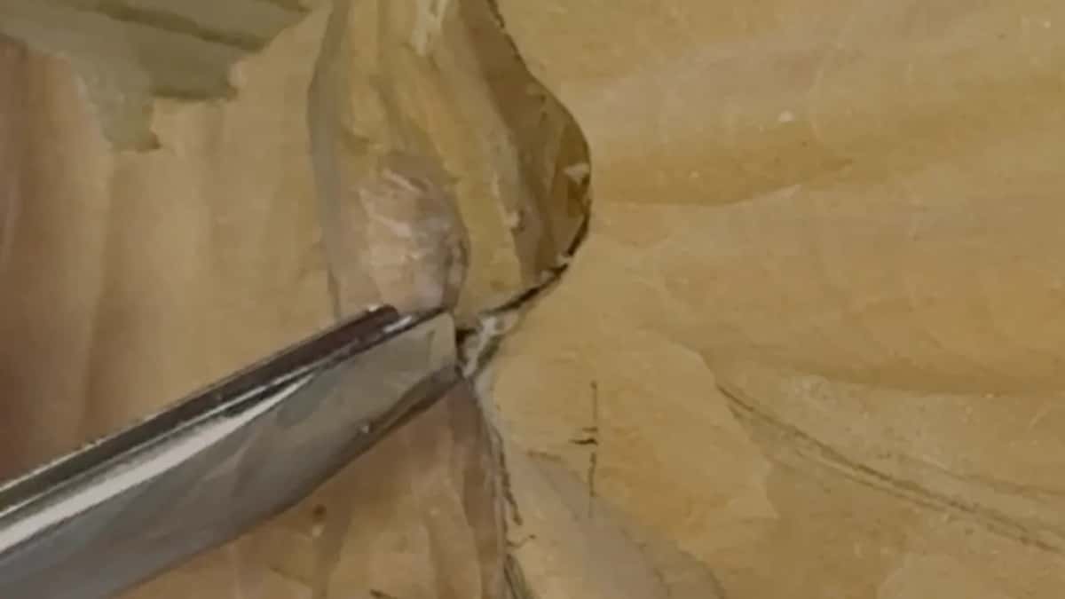 Wide blade at the joint