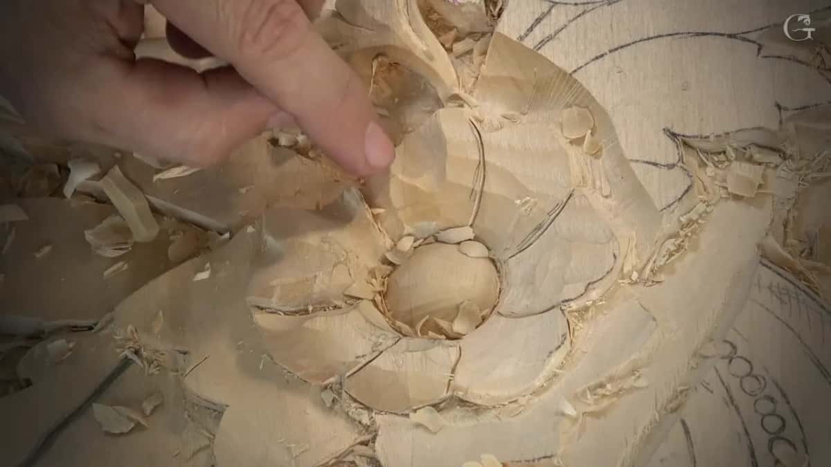 A fingertip points into a petal hollow next to the round middle, fresh chips lying around
