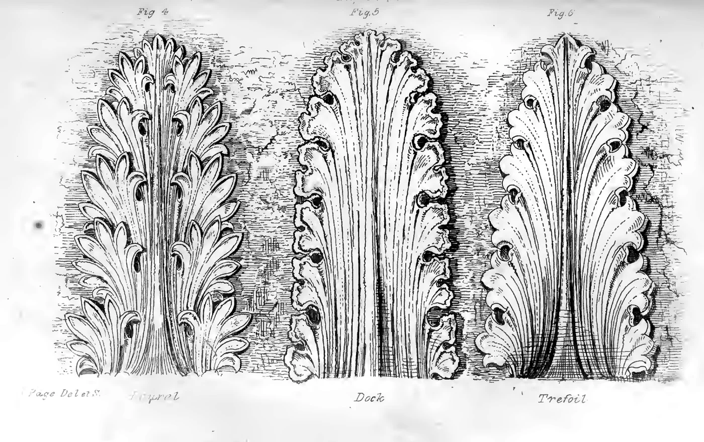 Three modeled acanthus leaf characters side by side from Page's 1886 guide, figures four, five and six, two of them named Dock and Trefoil