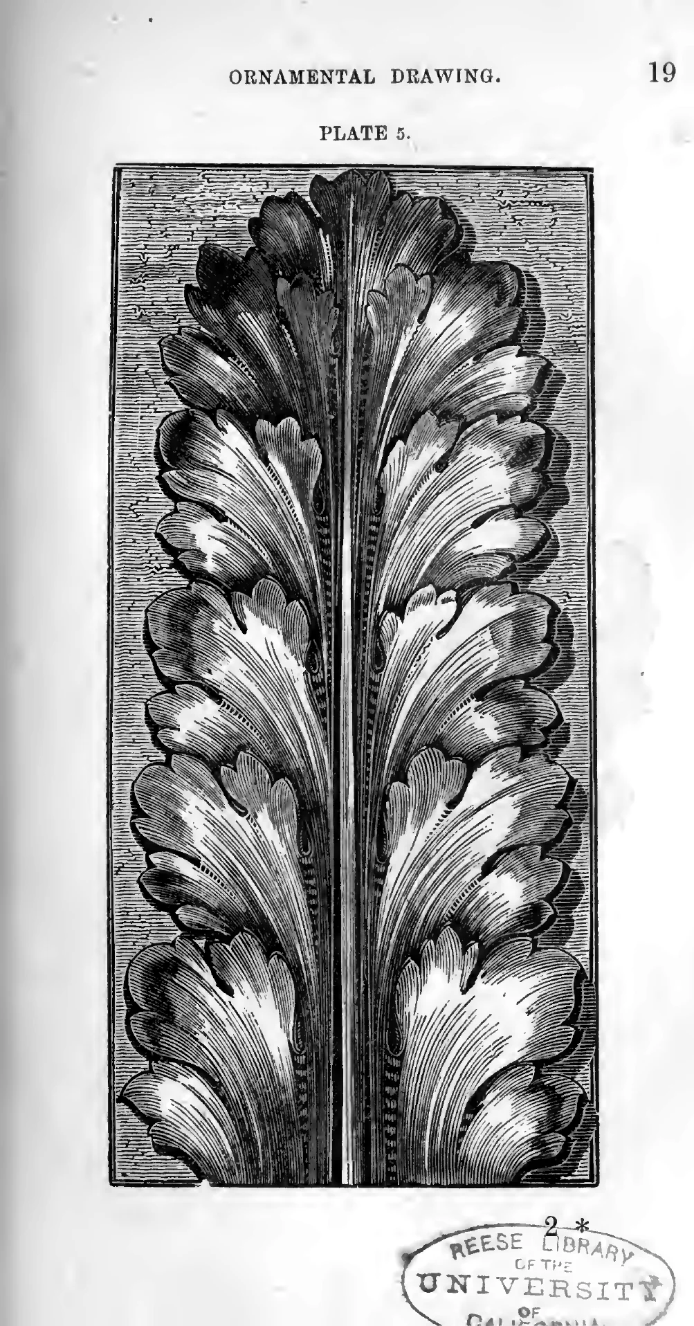 Plate 5 from Page's 1886 guide, the acanthus leaf fully modeled in light and shade with deep dark eyes