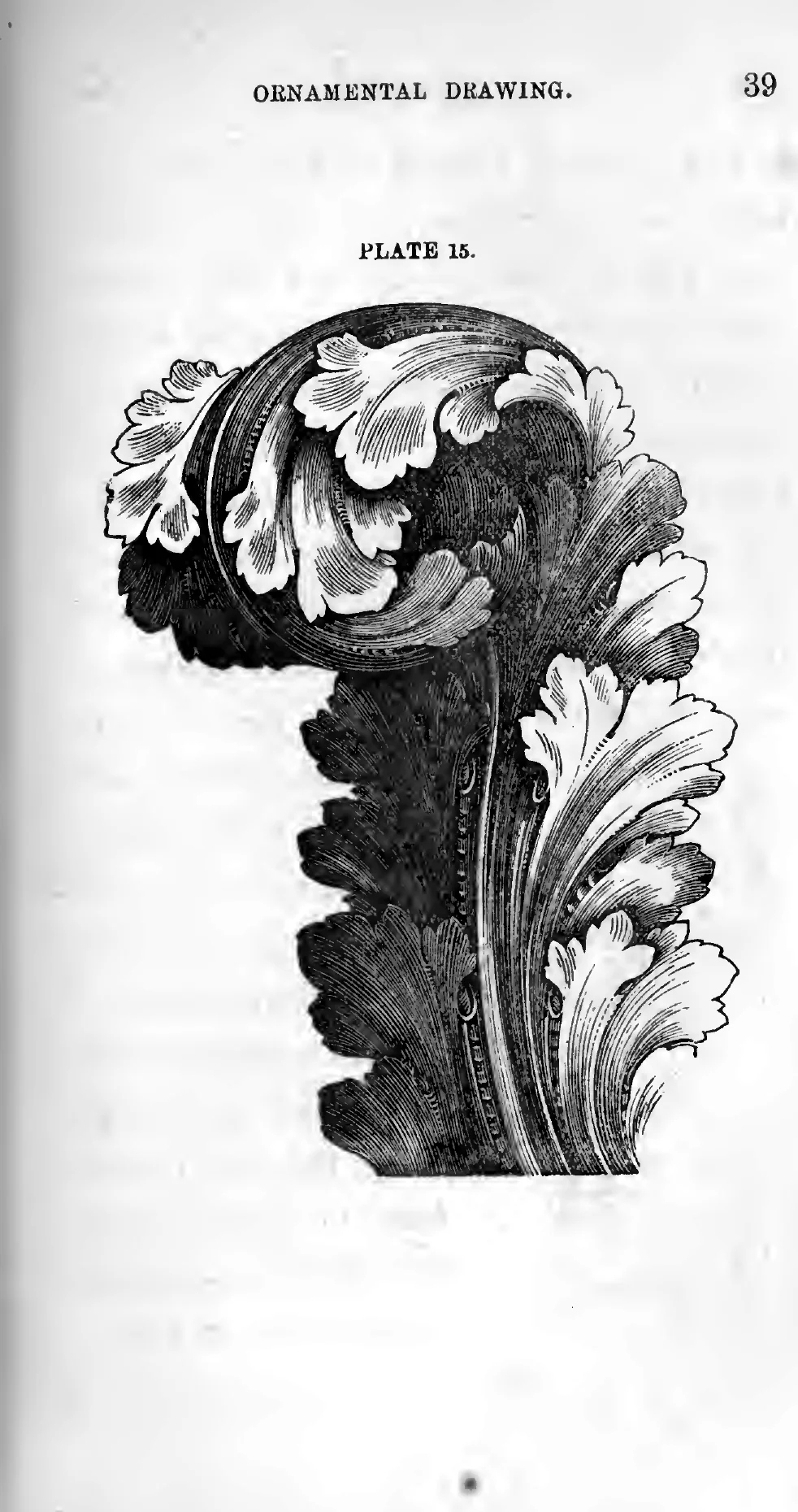 Plate 15 from Page's 1886 guide, an acanthus leaf bent over into a scroll, modeled in light and shade