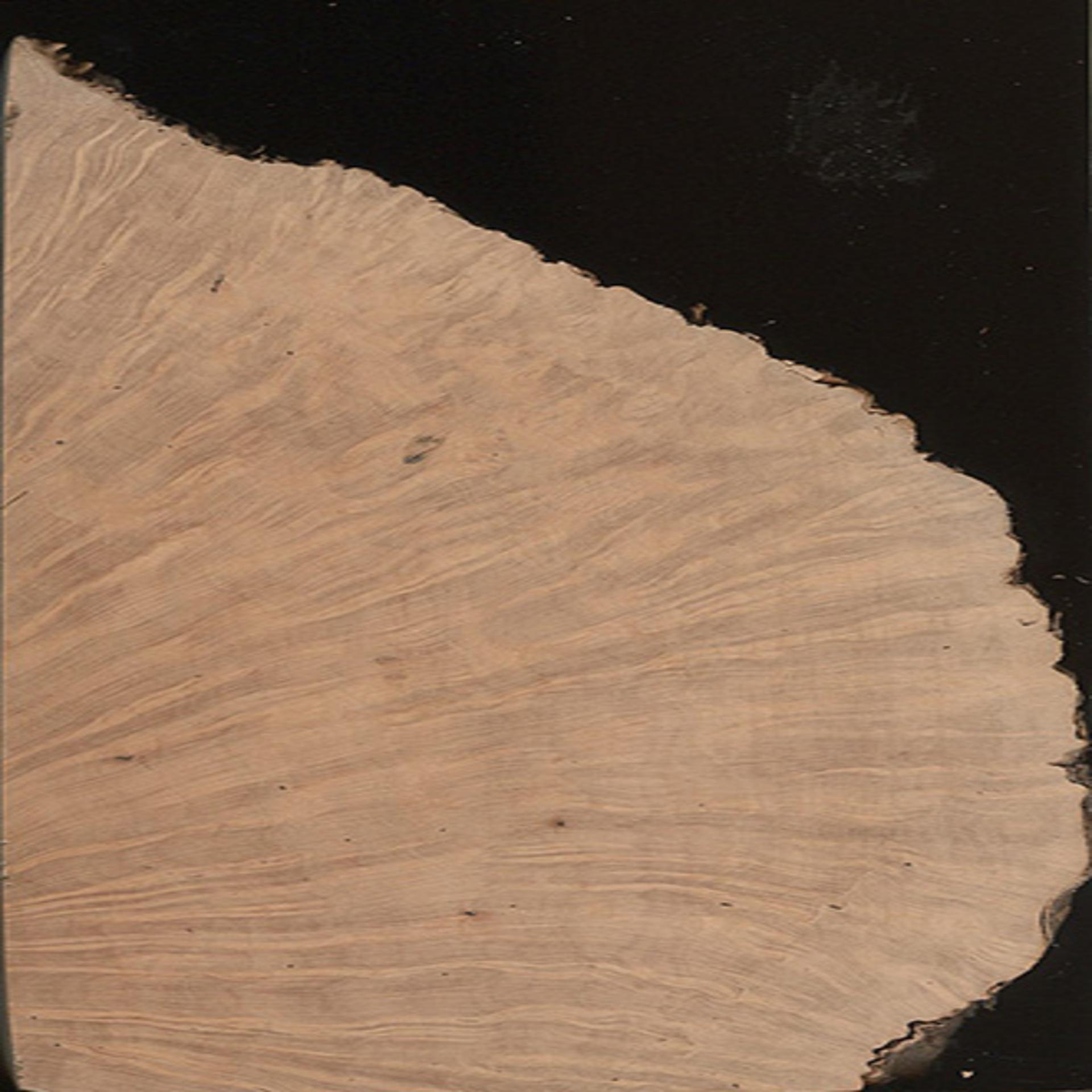 WOODCARVING LESSONS: Woodcarver Grabovetskiy, a man with a beard, holds a sign that says "What wood is the best for carving?" He looks thoughtful. Carving tools are on the table in front of him. - Wood Carving tutorials06779943c26e44b9ad983016ae8a7669